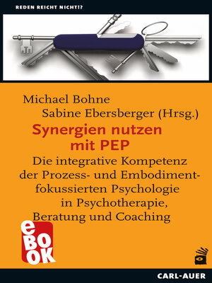 cover image of Synergien nutzen mit PEP